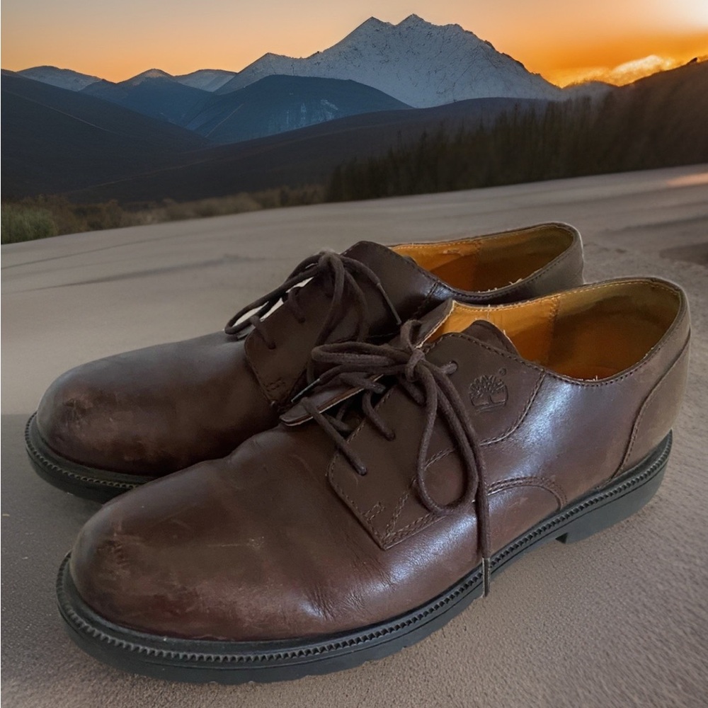Timberland Mens Brown Leather Waterproof Lace Up Oxford Shoes Size 11.5 M 93076